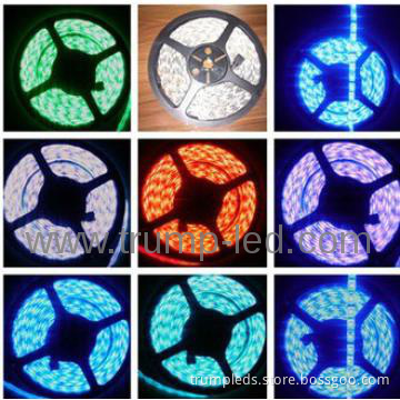 High brightness  240led christmas lighting with 2 years warranty